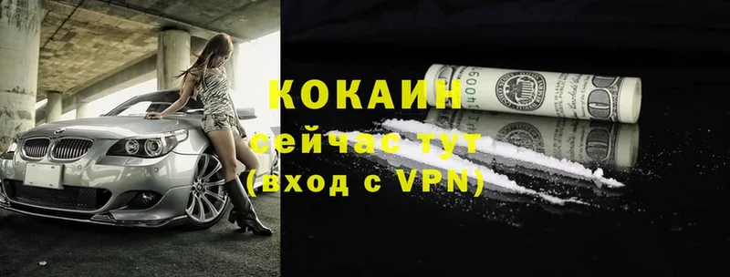 COCAIN Боливия  Рославль 